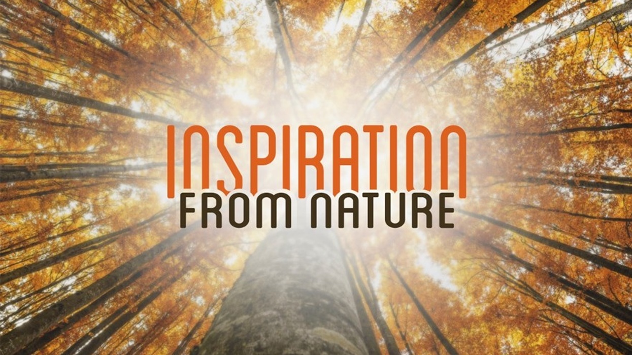 PGAV Destinations Launches Latest Guest Research Report 'Inspiration from Nature'