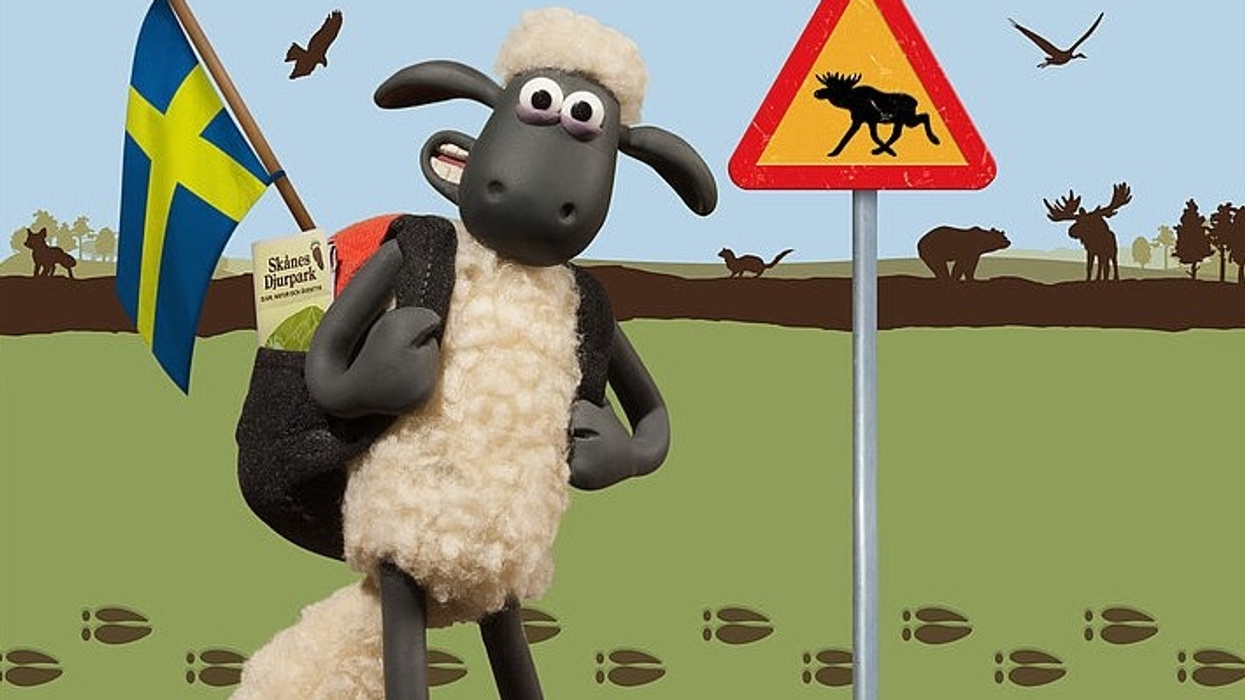 Shaun the Sheep Land Brings Crowds Flocking to Skånes Djurpark, Sweden