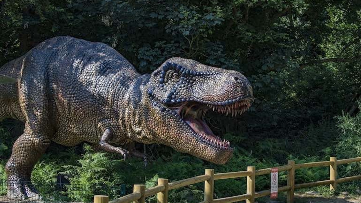 Roarr! Dinosaur Adventure seeks talented Marketing and Communications Manager
