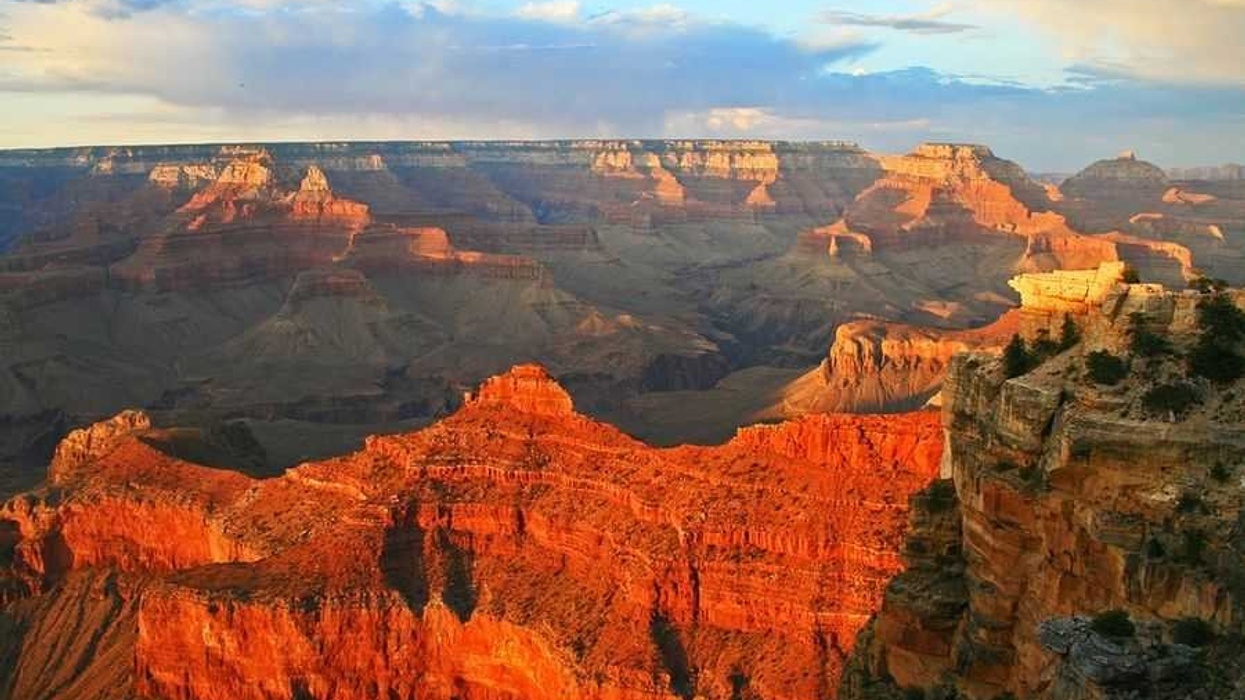 365Tickets USA partners with Gray Line Las Vegas