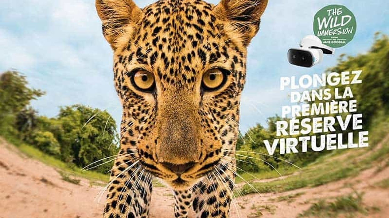 Jardin d’Acclimatation opens 'Wild Immersion' VR conservation experience