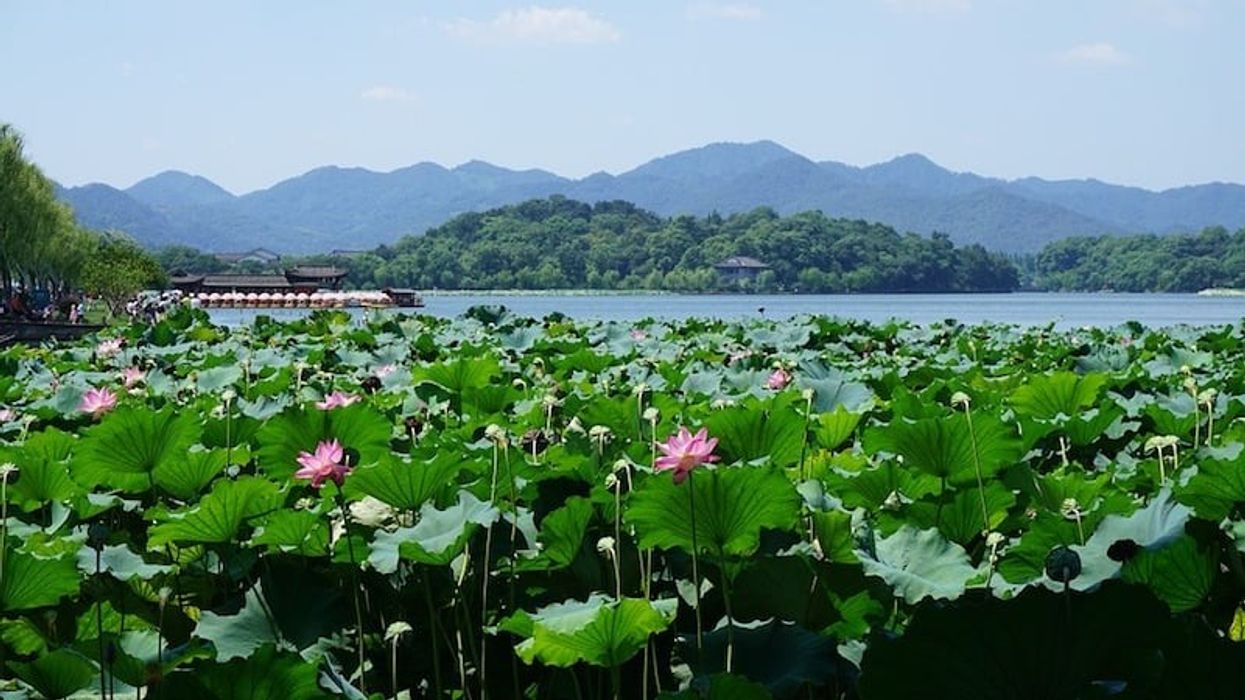 China's 'charming towns' developer collapses