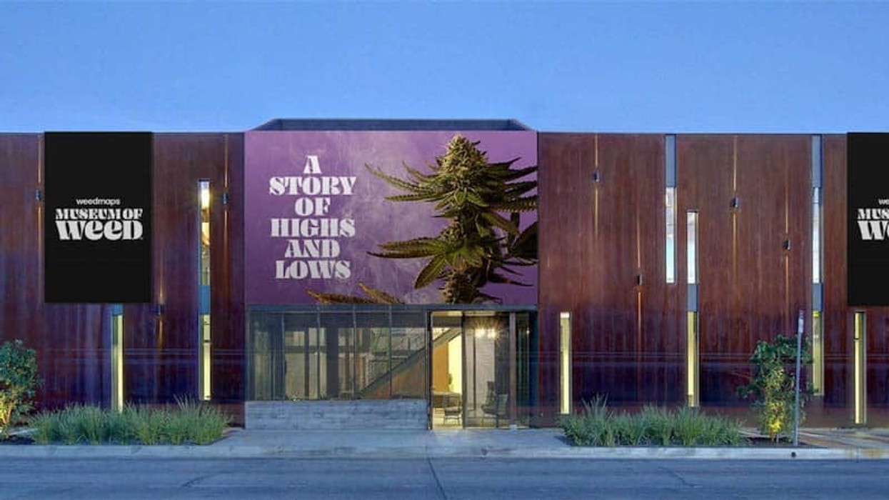 Cannabis tech company opening the Weedmaps Museum of Weed in Hollywood