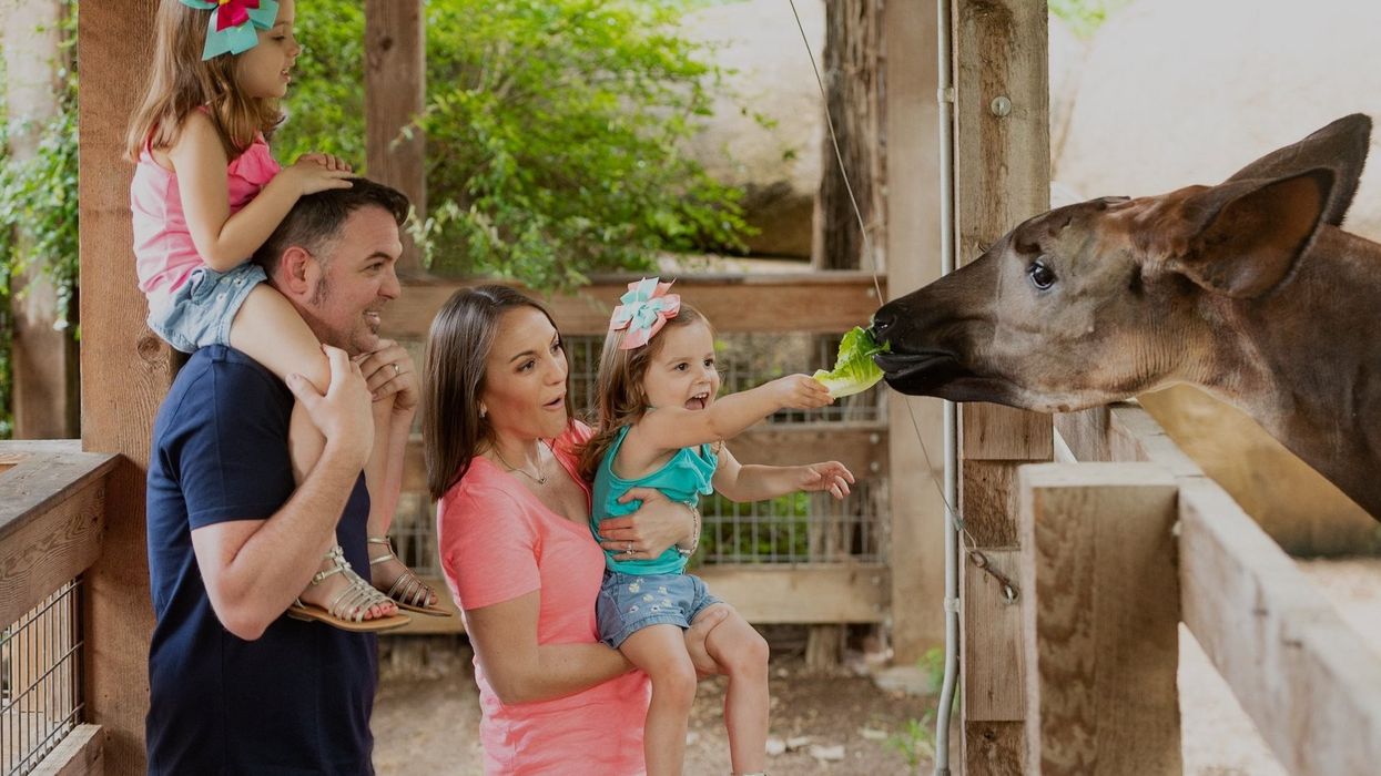 AI, storytelling & more: innovation in the guest journey