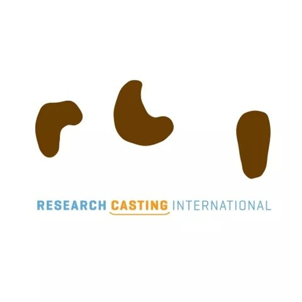 Research Casting International