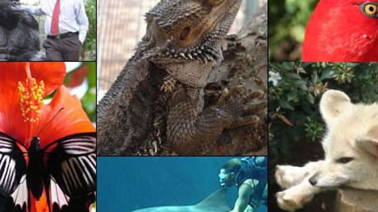 PAAZA Annual Conference & AGM 2018