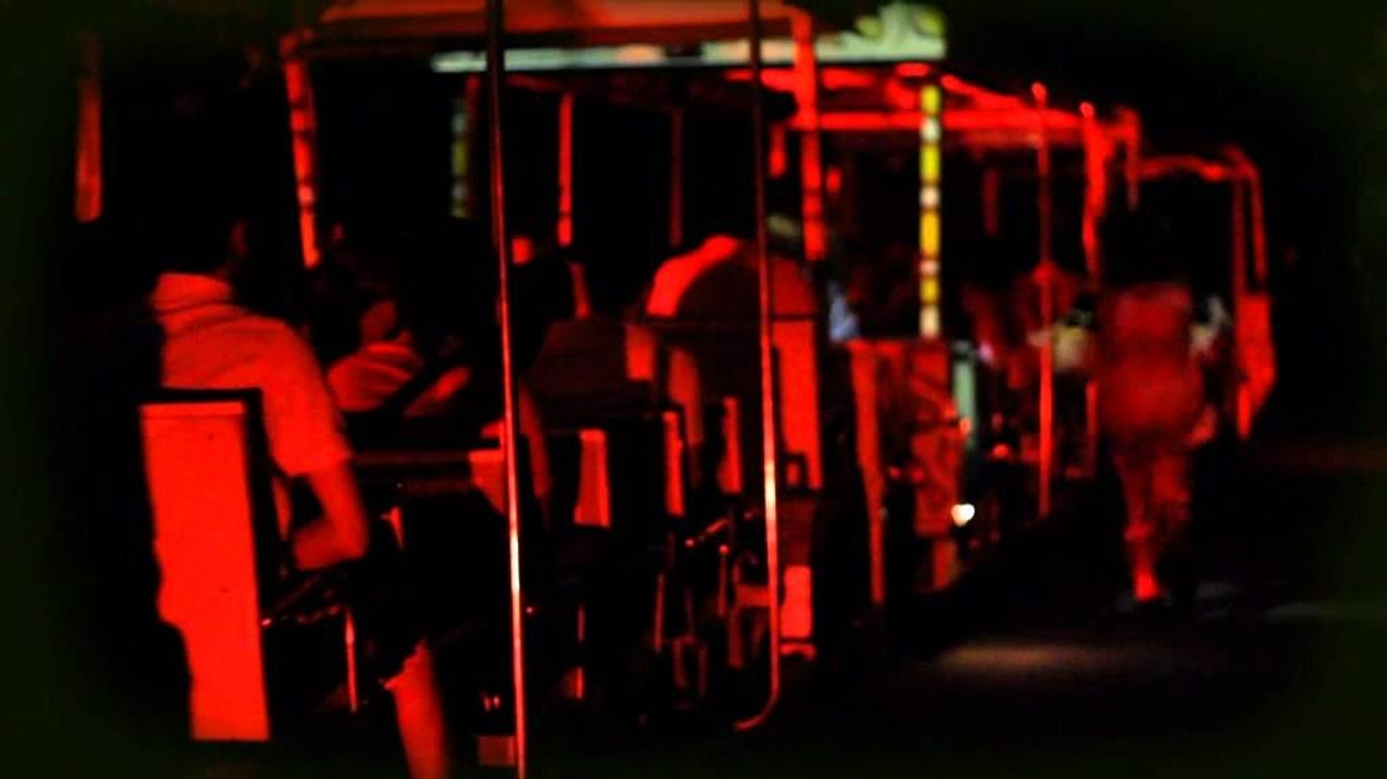 Singapore - Wildlife & Halloween Horrors
