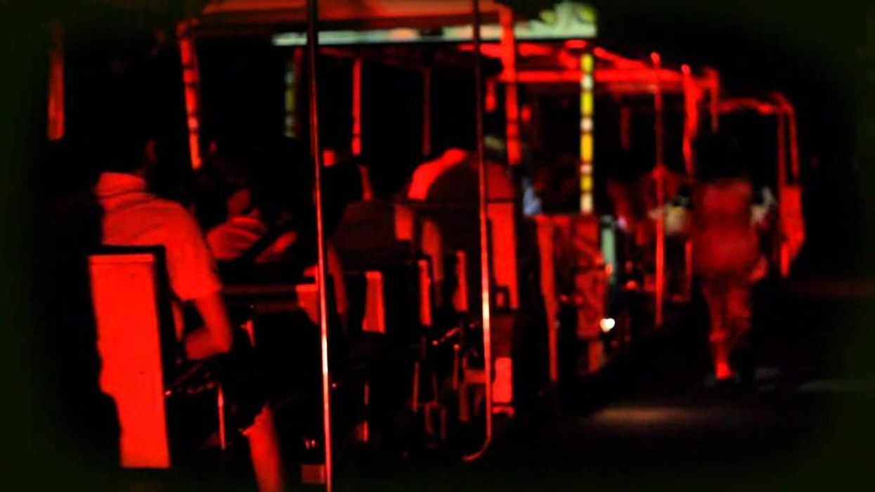 Singapore - Wildlife & Halloween Horrors