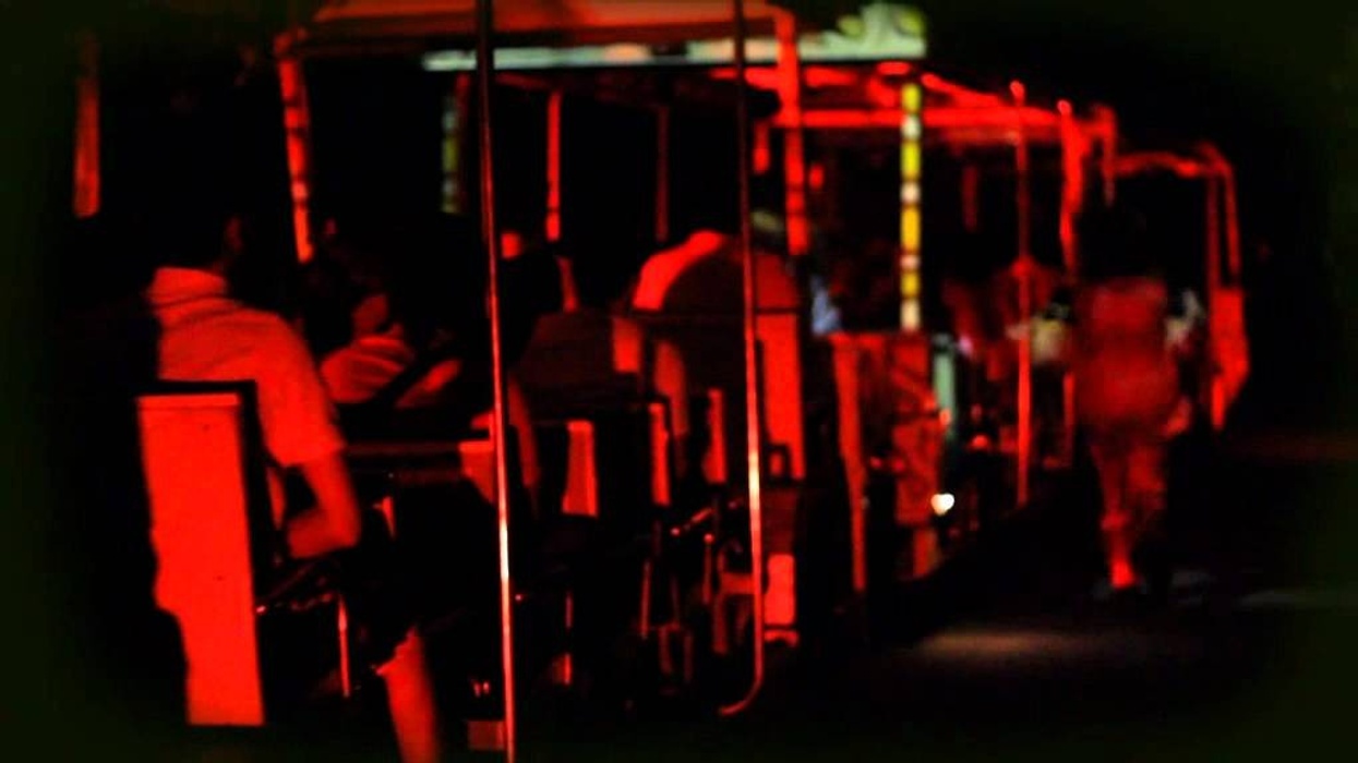 Singapore - Wildlife & Halloween Horrors