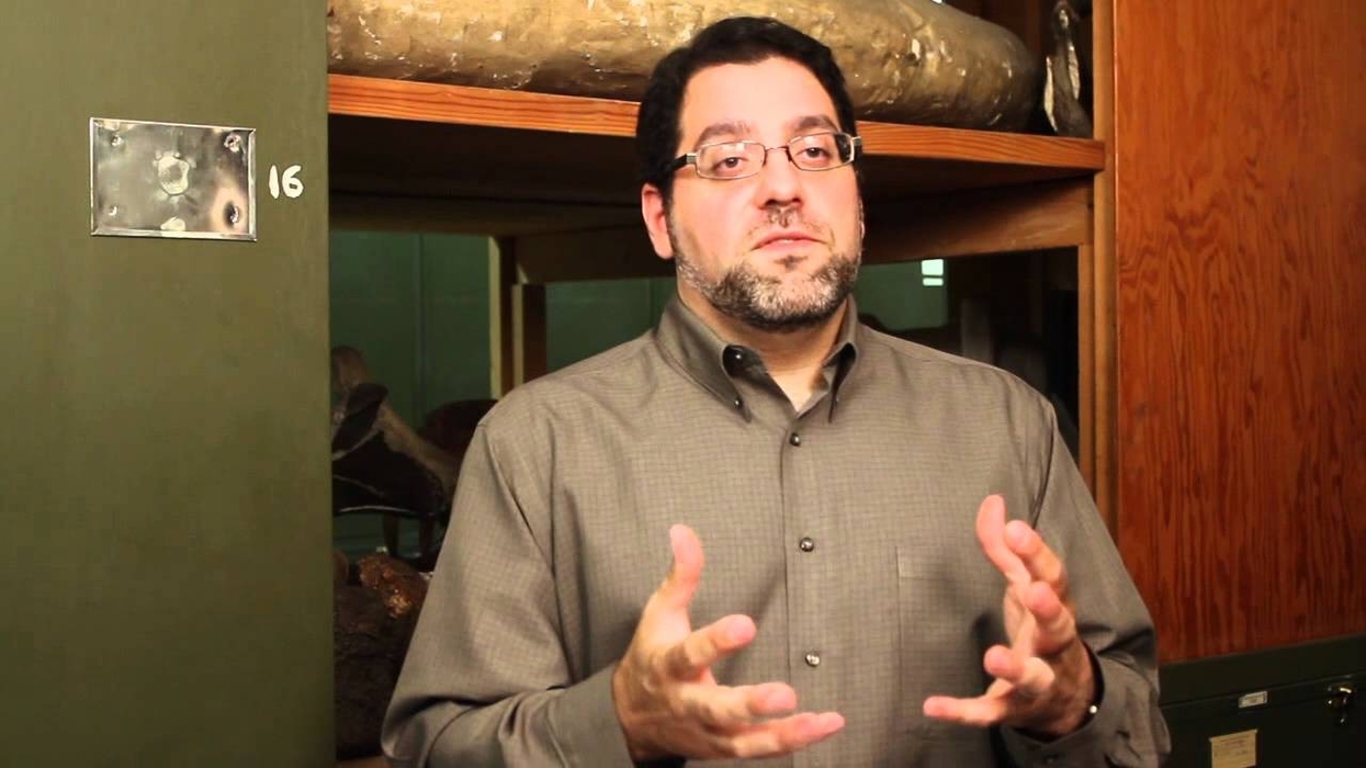 Smithsonian - did dinosaurs care for their young?