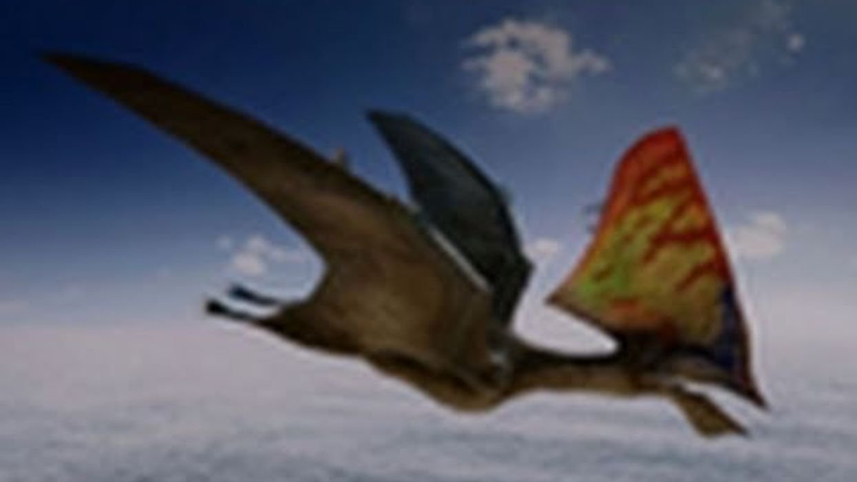 Flying Monsters 3D by Nat Geo Movies