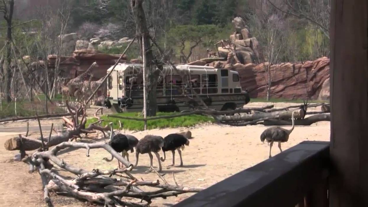 Kieran Stanley presents the unique safari experience Lost Valley