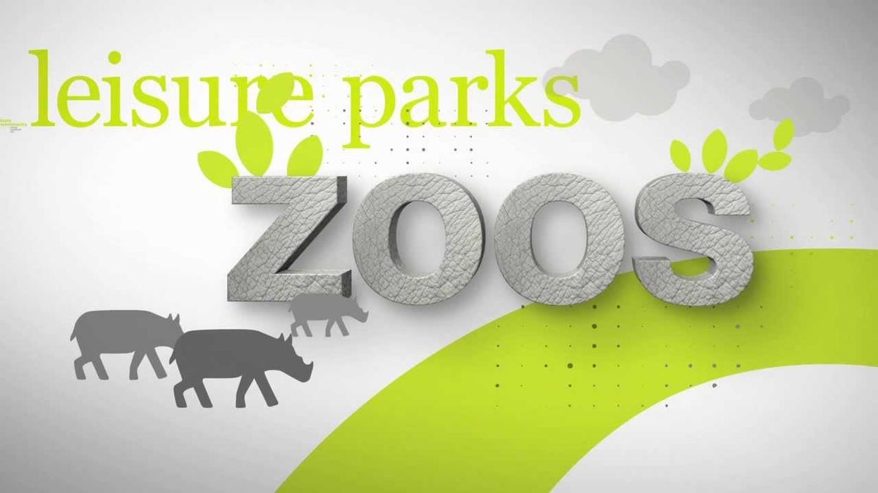 Who is dan pearlman?