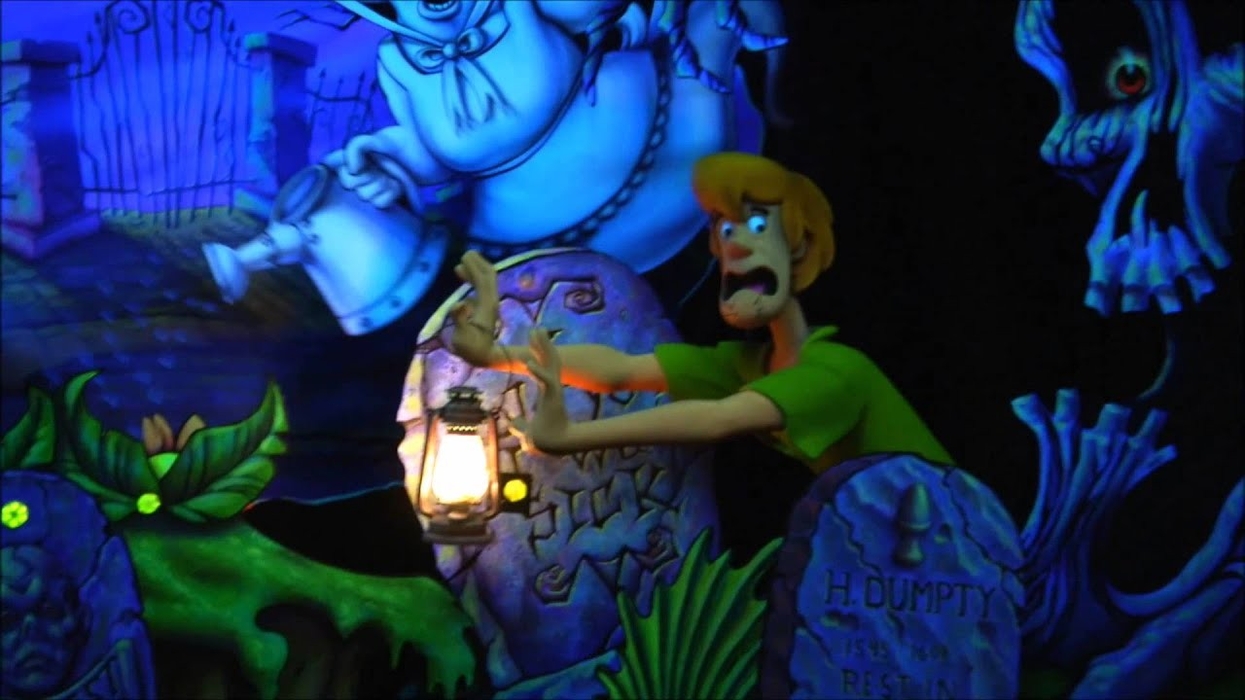 Sally Dark Rides | A Glimpse Inside