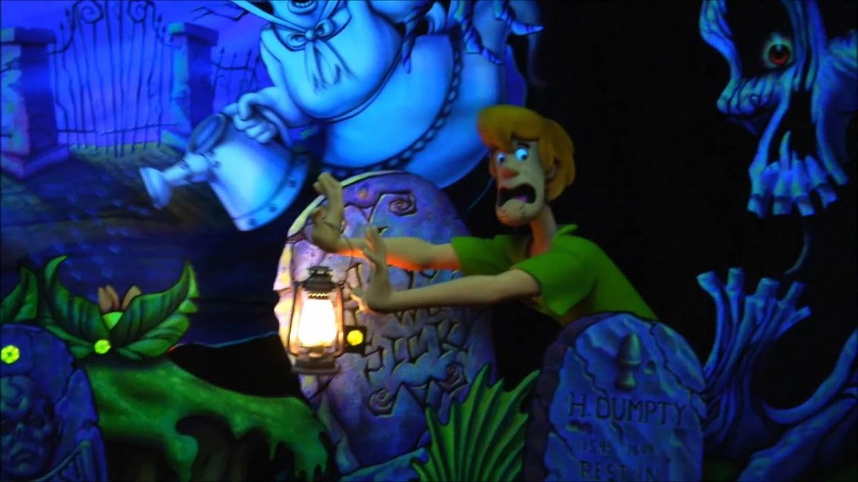 Sally Dark Rides | A Glimpse Inside