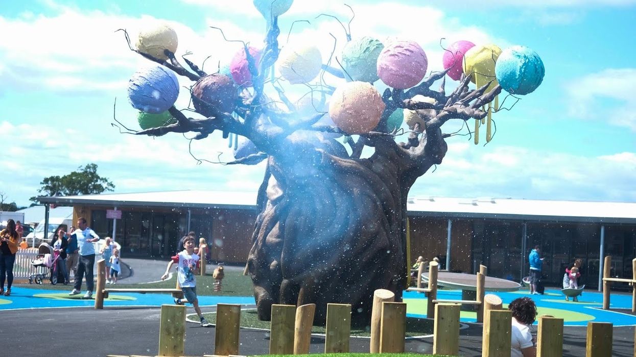 Discover The Ice Cream Farm