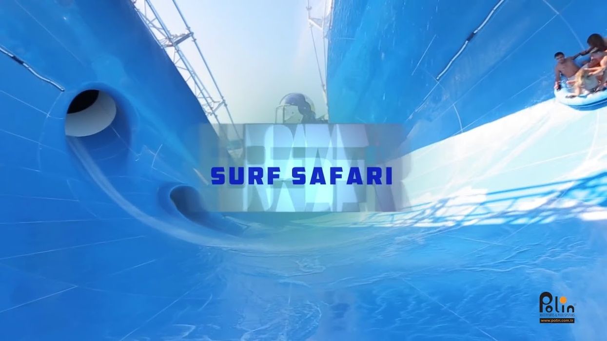 Surf Safari by Polin