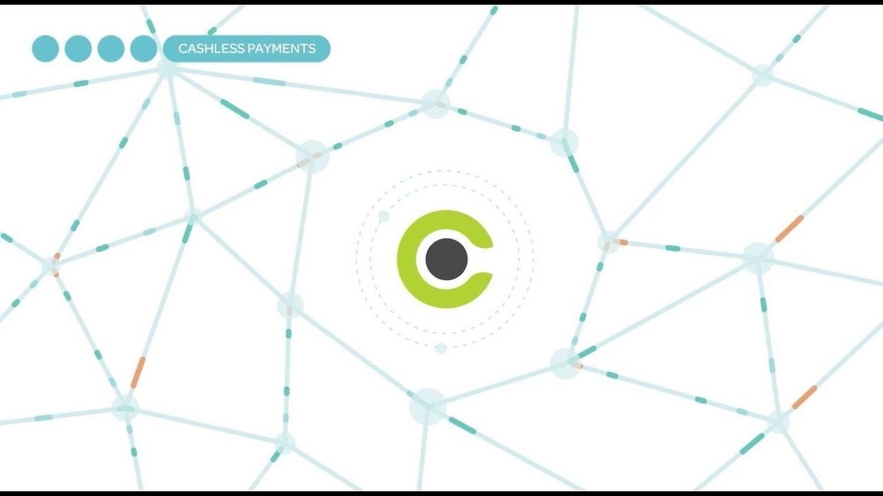 Who is Omnico and how do they work with leading resorts and attractions?