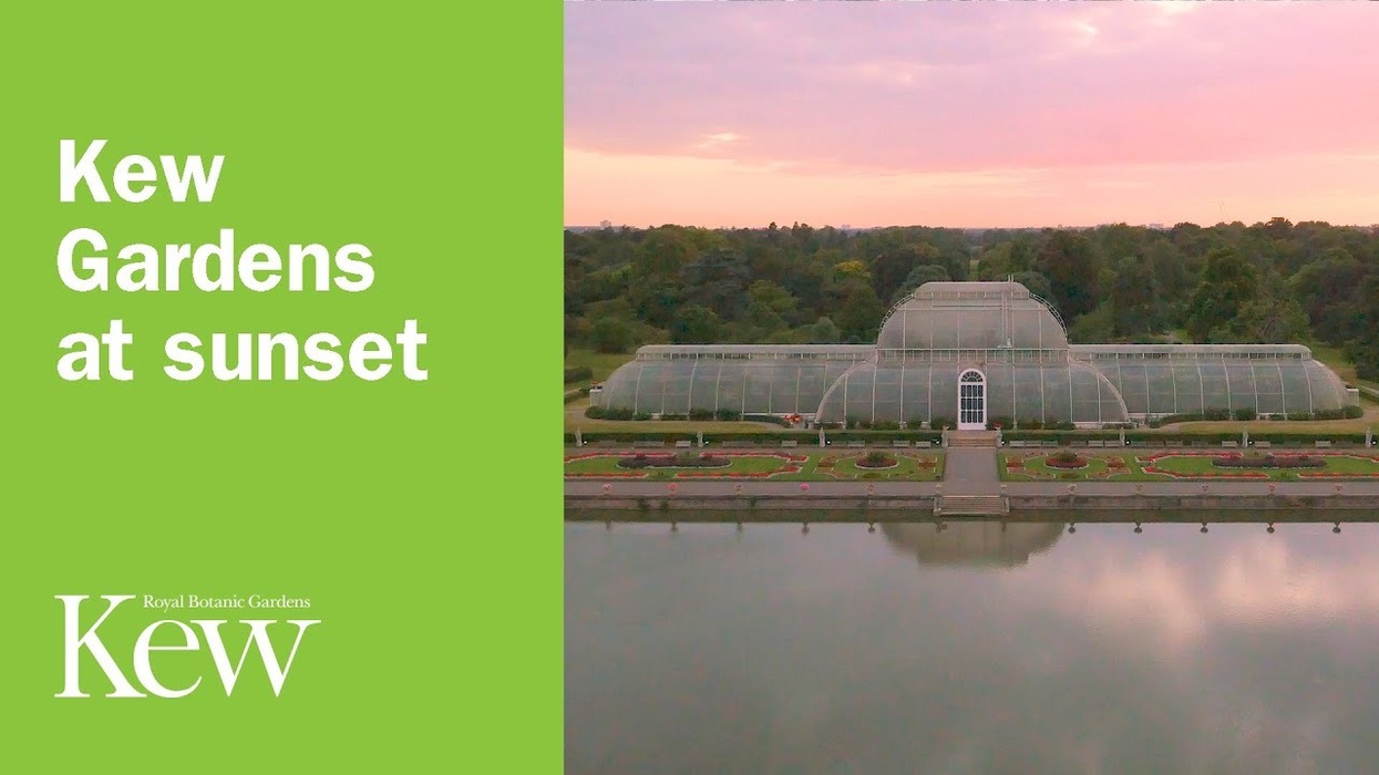 Kew Gardens at sunset