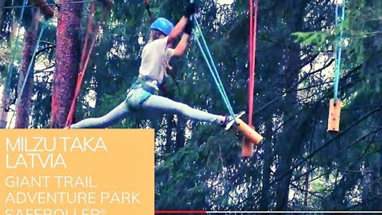 Saferoller® : Who's the King of Trees?