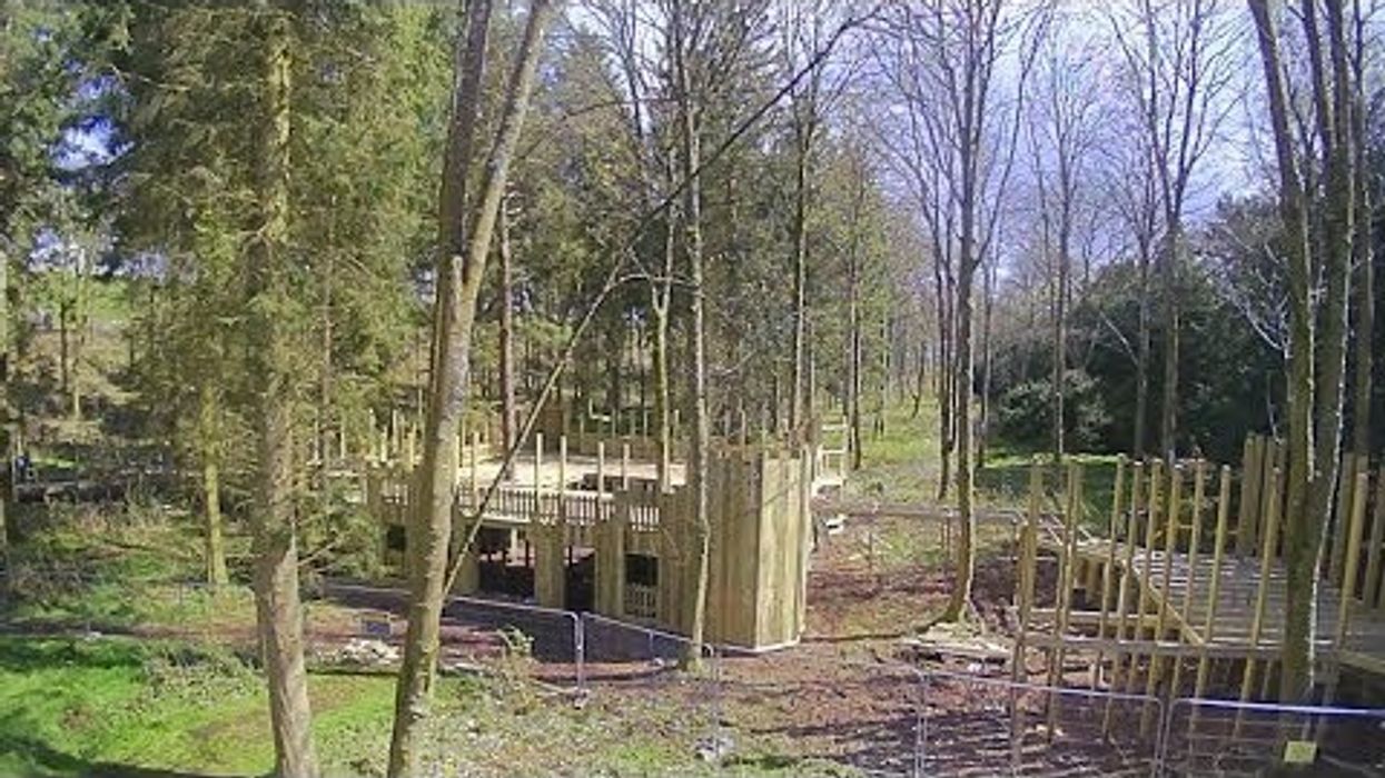 Creating the Lost Castle at Lowther Castle