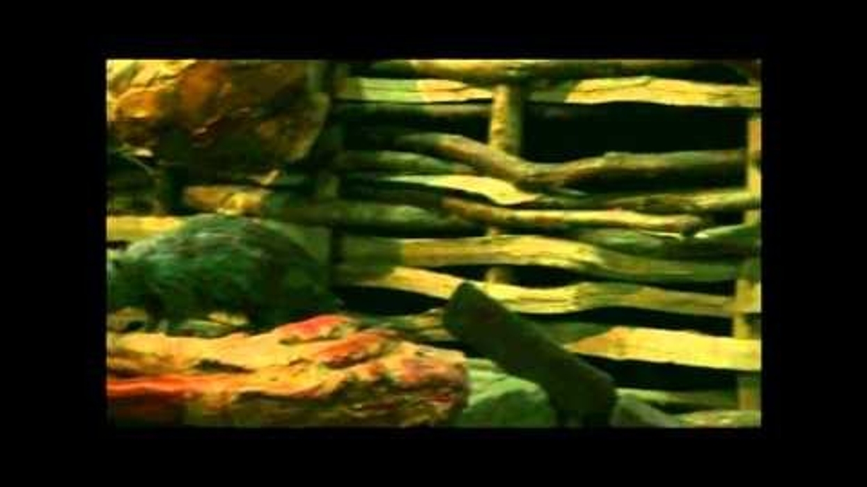 RMA Themed Attractions Showreel