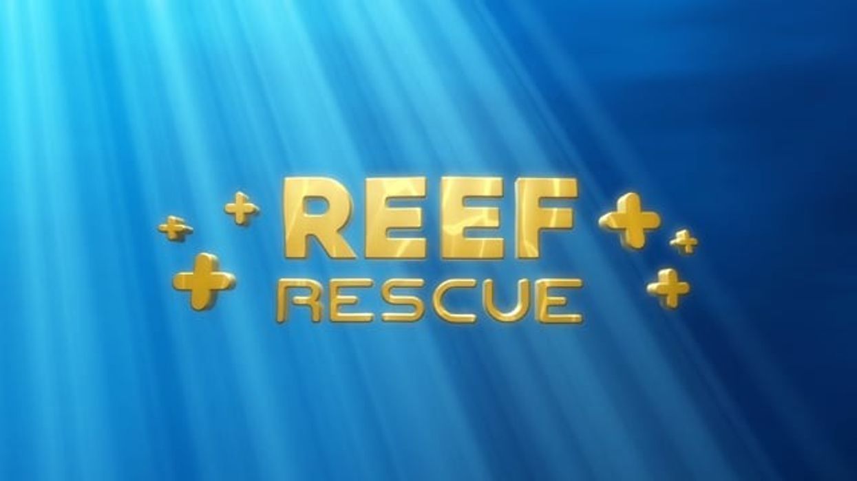 Reef Rescue at Moody Gardens