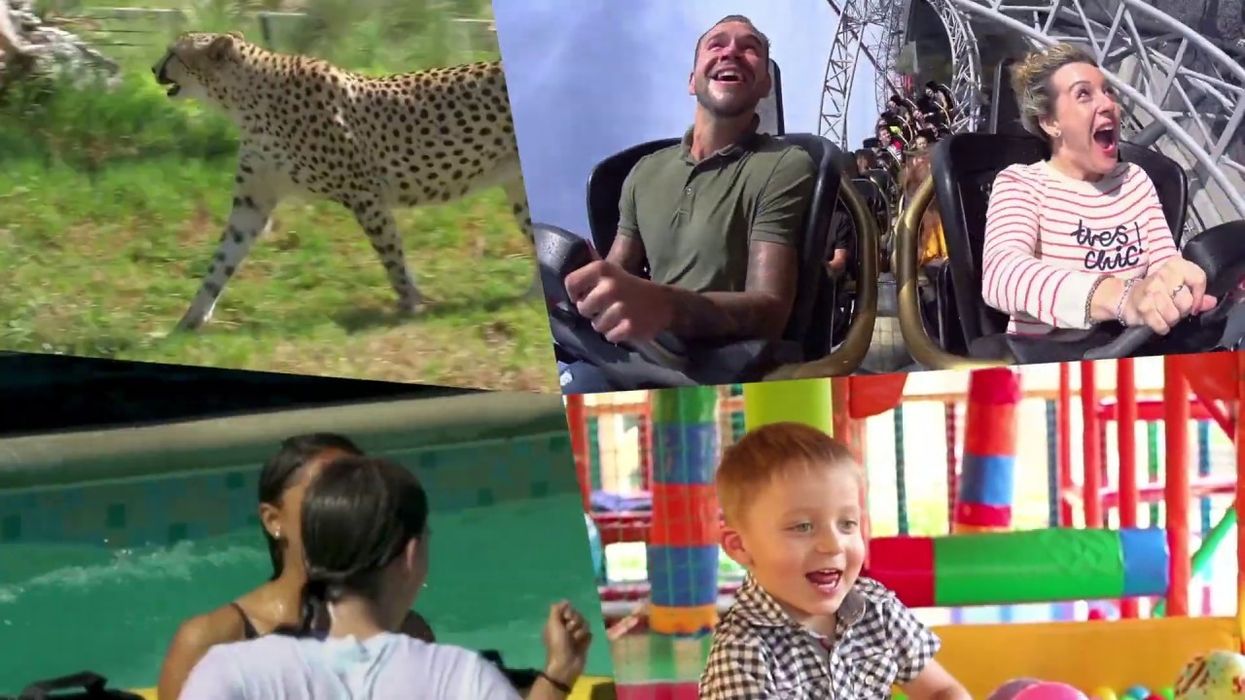 Introducing the New IAAPA Brand