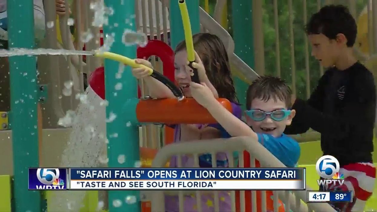 Safari's Thatch Reed Umbrellas Make a Splash at Lion Country Safari Falls