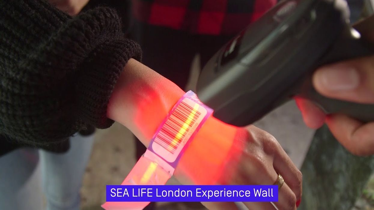 Picsolve's Experience Wall - SEA LIFE London