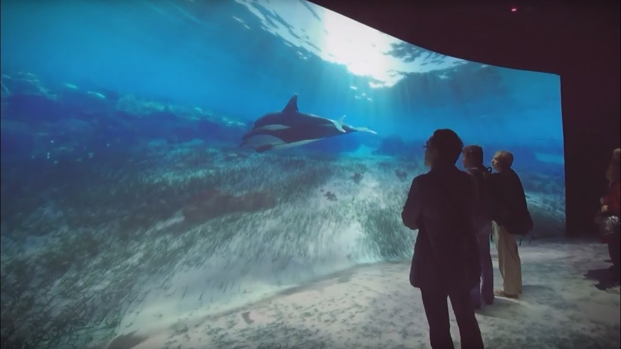 National Geographic Encounter: Ocean Odyssey on Times Square in NYC (US) | Kraftwerk LT