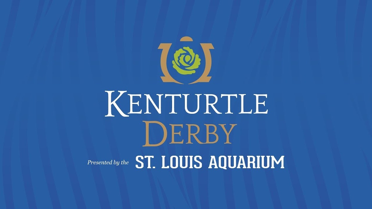 The Kenturtle Derby 2020