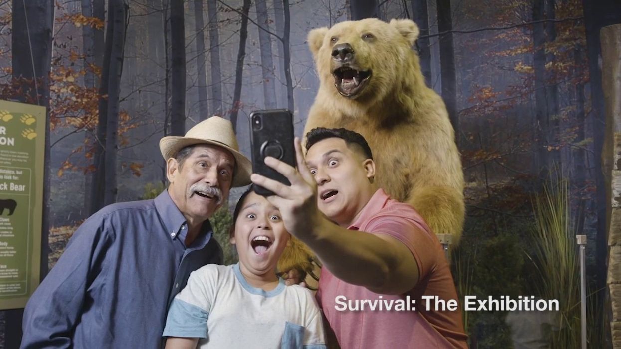 Imagine Exhibitions Sizzle Reel