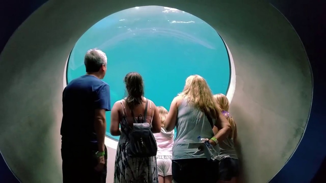 Inside Explorer at Frost Science, Miami