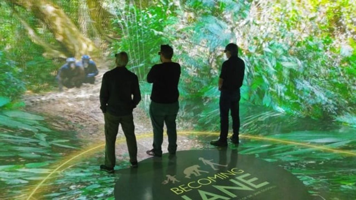 Becoming Jane: The Evolution of Dr. Jane Goodall at National Geographic Museum