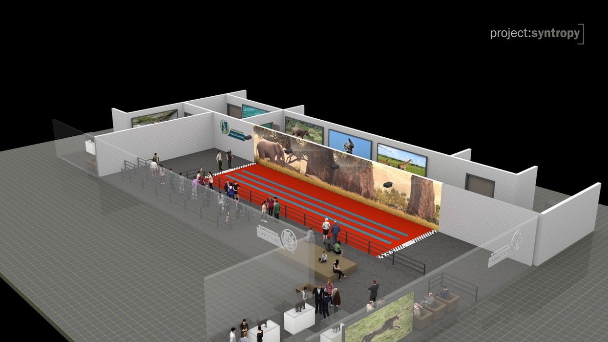 Race Tunnel