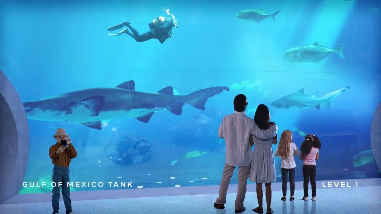 Inside Mote Science Education Aquarium: Virtual Tour