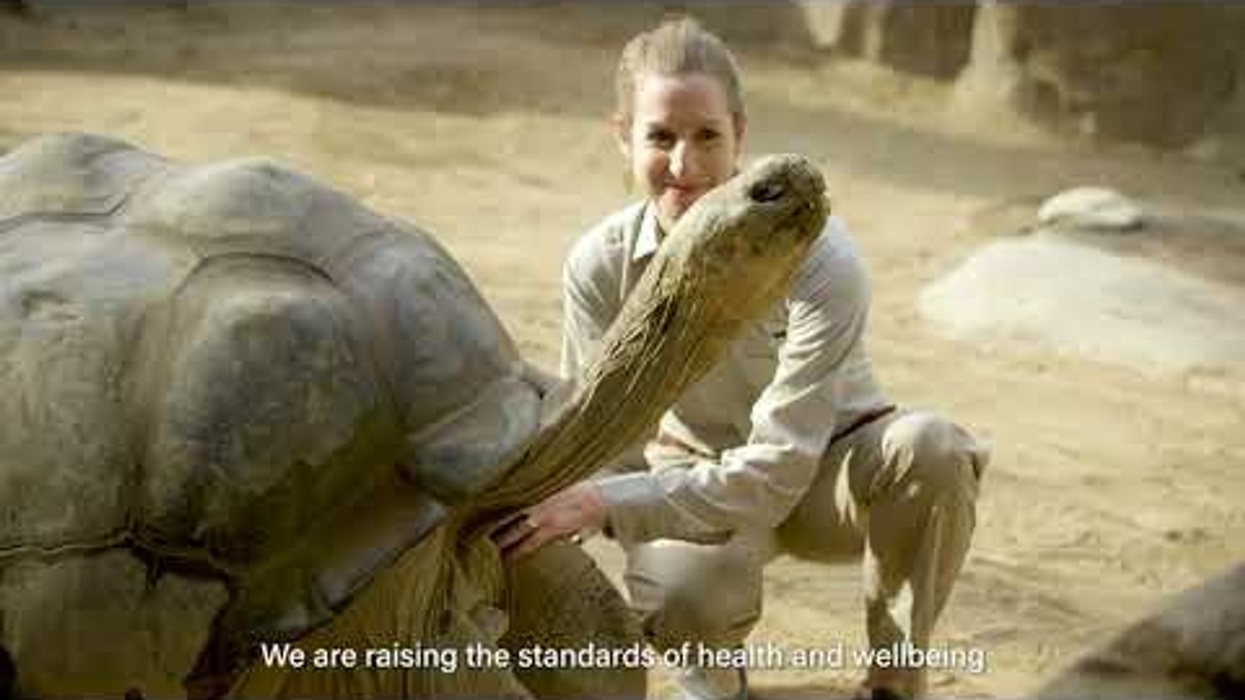It's In Our Nature
