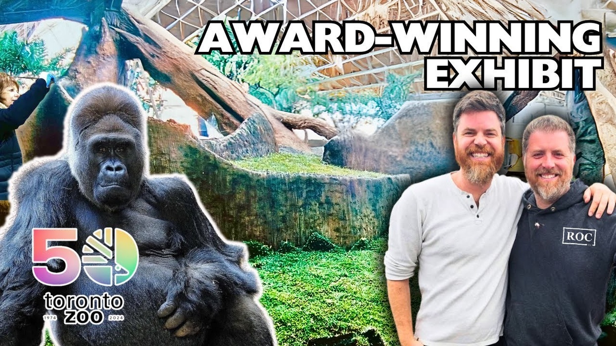 How We Built Toronto Zoo's Award-Winning Gorilla Rainforest