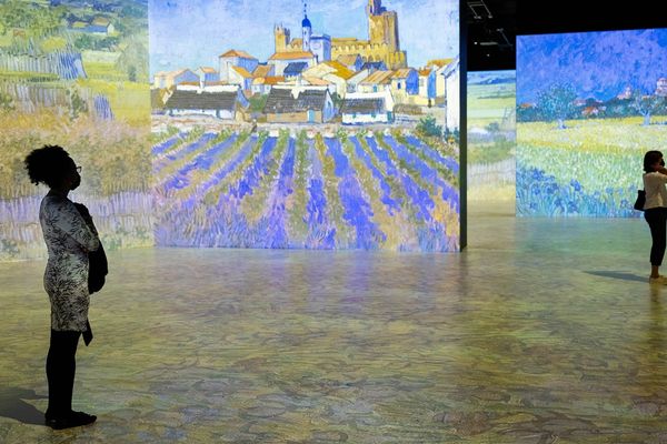 THE LUME Indianapolis