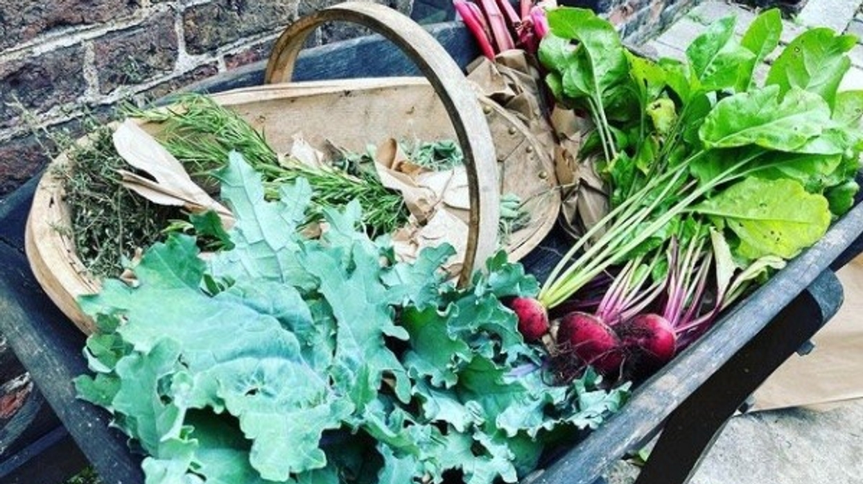 Kew Palace Kitchen Garden