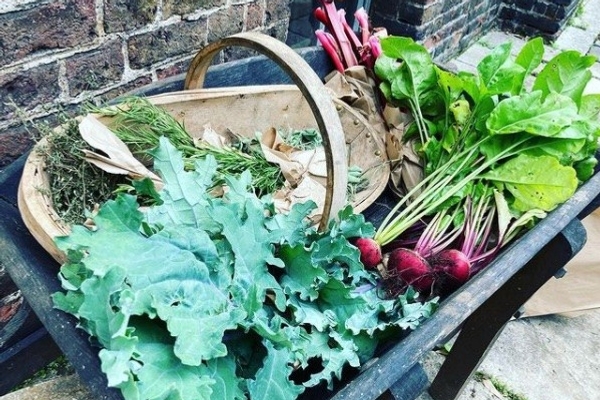 Kew Palace Kitchen Garden