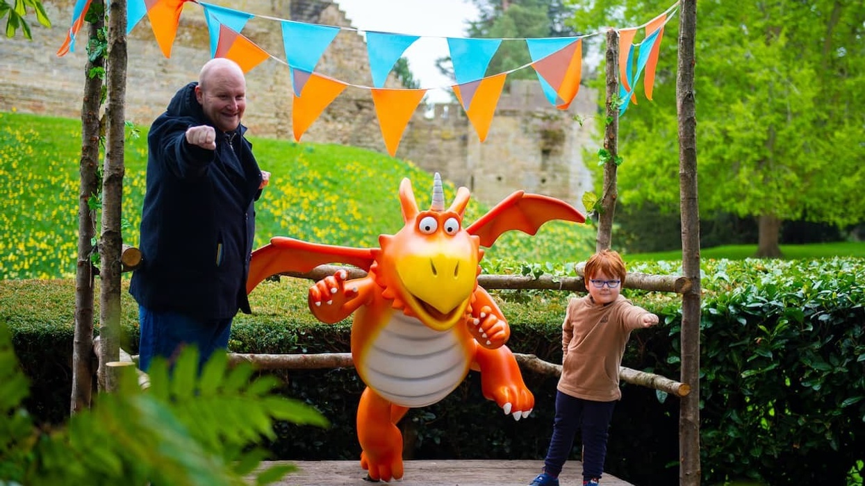 Zog and the Quest for the Golden Star Trail