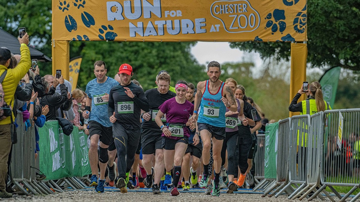 Chester Zoo's Run for Nature event to support UK wildlife