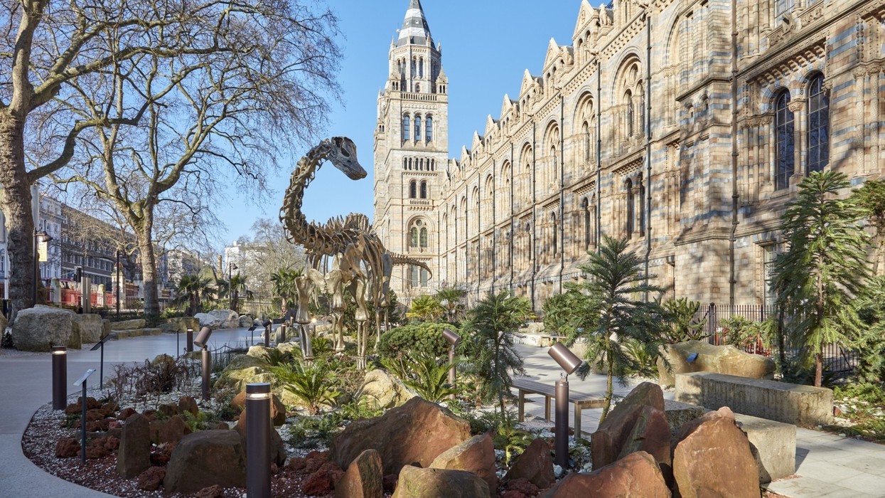 Non-visitors to Natural History Museum willing to make annual donation