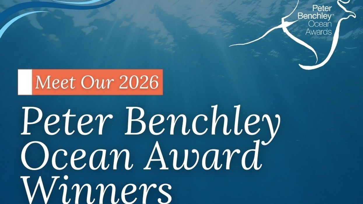 Winners of 2026 Peter Benchley Ocean Awards announced