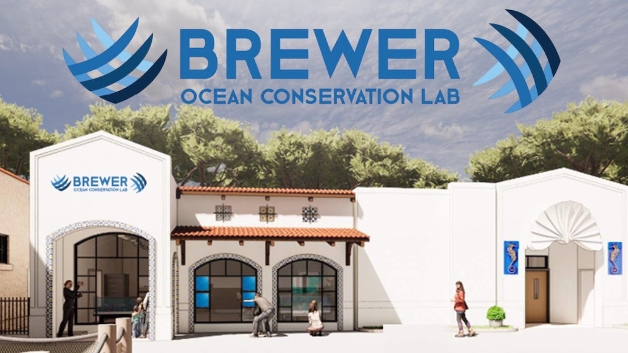 San Antonio Zoo opens Brewer Ocean Conservation Lab
