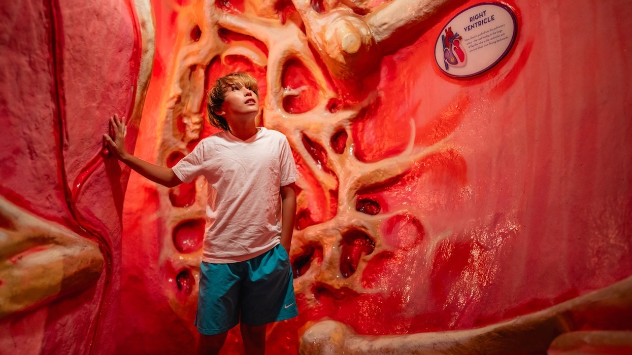 The blooloop 50 Museum Influencer List 2026