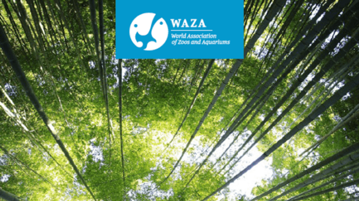 WAZA publishes guide to sourcing forest products