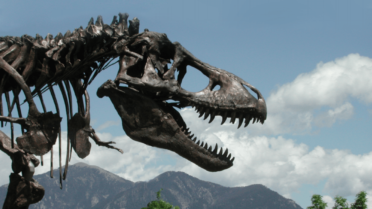 The Smithsonian Associates Presents “The Wankel T. rex Is Coming!”